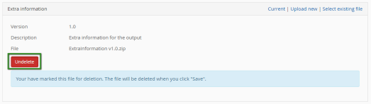 New_ExtraInformation_Undelete_withFrames.png
